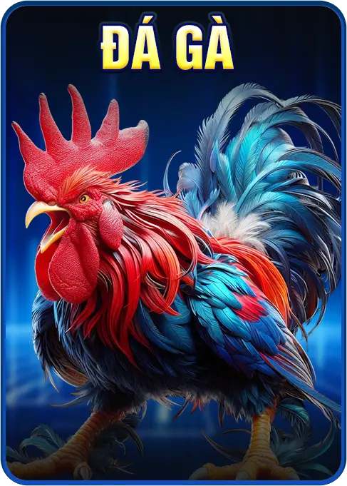 chuyên mục đá gà 58win