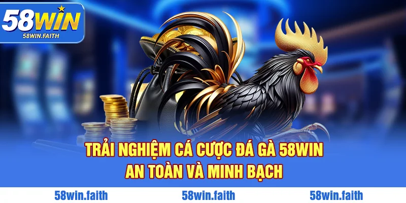 Trải nghiệm cá cược đá gà 58win an toàn và minh bạch