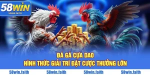 Đá Gà Cựa Dao - Hình Thức Giải Trí Đặt Cược Thưởng Lớn