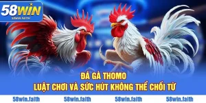Đá Gà Thomo - Luật Chơi Và Sức Hút Không Thể Chối Từ