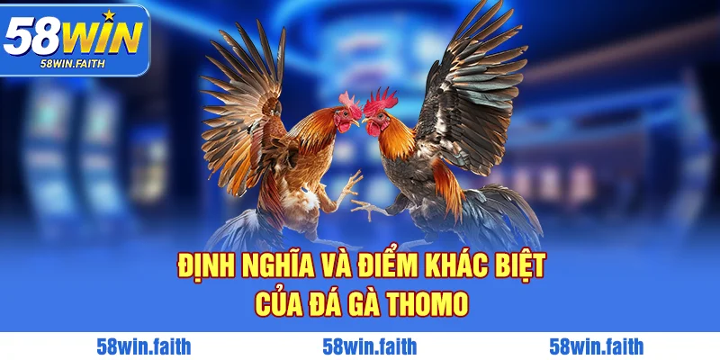 Định nghĩa và điểm khác biệt của đá gà Thomo