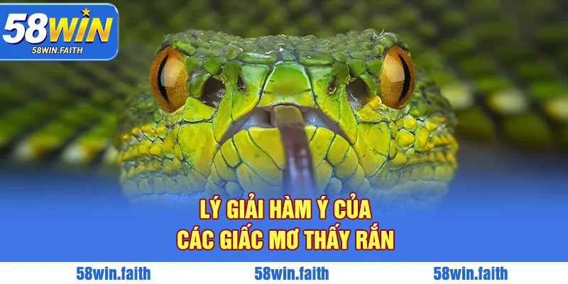 Lý giải cụ thể các giấc mơ thấy rắn