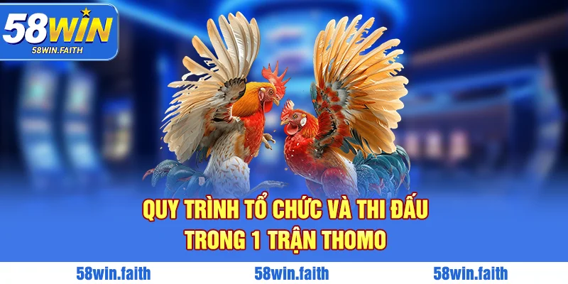 Quy trình tổ chức và thi đấu trong 1 trận Thomo