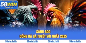 Sảnh AOG – Cổng Đá Gà Được Yêu Thích Bậc Nhất 2025
