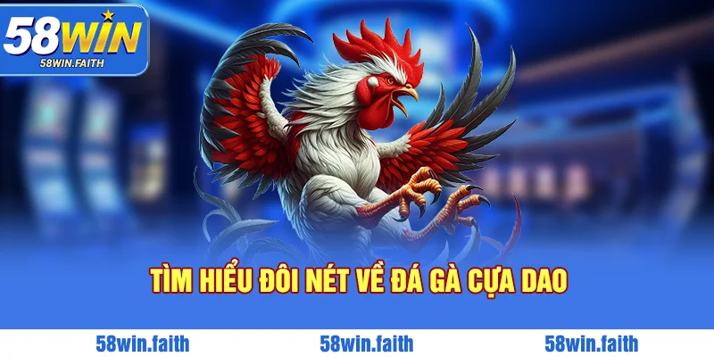 Tìm hiểu đá gà cựa dao là gì chính xác