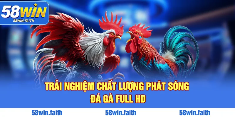 Chất lượng phát sóng full HD